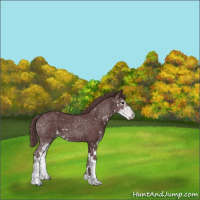 Horse Color:Chocolate Black Sabino