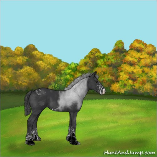 Horse Color:ERROR: UNKNOWN ANOMALY