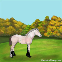 Horse Color:Chocolate Brown Ice Dun Sabino