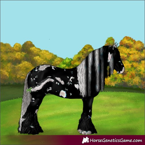 Horse Color:ERROR: UNKNOWN ANOMALY
