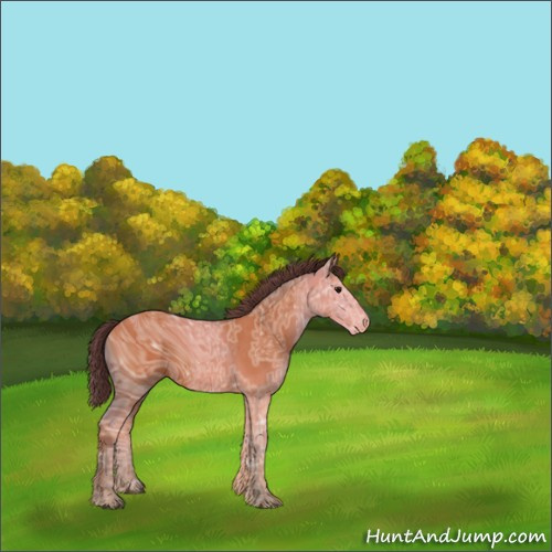 Horse Color:ERROR: UNKNOWN ANOMALY