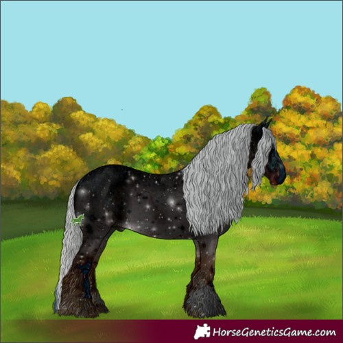 Horse Color:ERROR: UNKNOWN ANOMALY