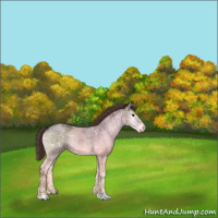Horse Color:Chocolate Blue Onyx Ice Roan Mushroom Sabino 