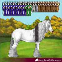 Horse Color:Bay Ice Onyx Mushroom Sabino Brindle 