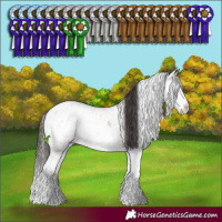 Horse Color:Bay Ice Onyx Mushroom Sabino Brindle 
