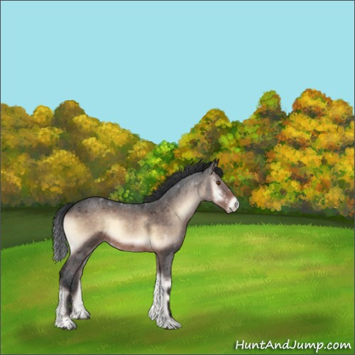 Horse Color:Brown Roan Onyx Mushroom Sabino