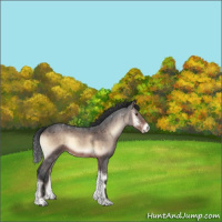 Horse Color:Brown Roan Onyx Mushroom Sabino 
