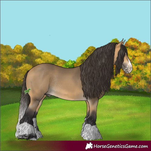 Horse Color:Buckskin Splash Rabicano 