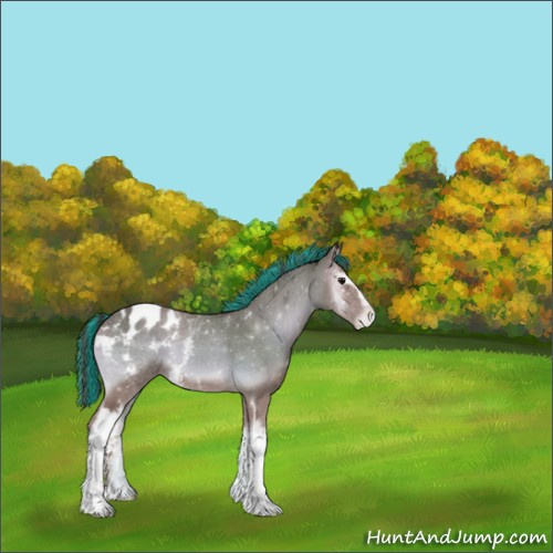 Horse Color:Painted White Spotted Classic Champagne Onyx Appaloosa 
