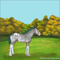 Horse Color:Painted White Spotted Classic Champagne Onyx Appaloosa