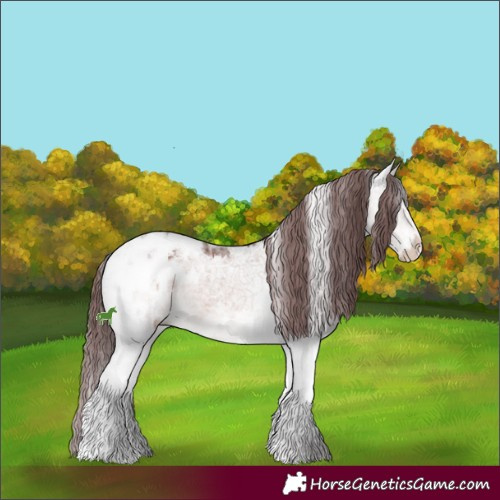 Horse Color:White Spotted Chocolate Brown Ice Sabino Splash Appaloosa