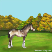 Horse Color:White Spotted Liver Red Onyx Sabino 