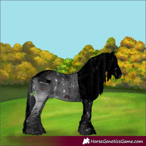 Horse Color:ERROR: UNKNOWN ANOMALY