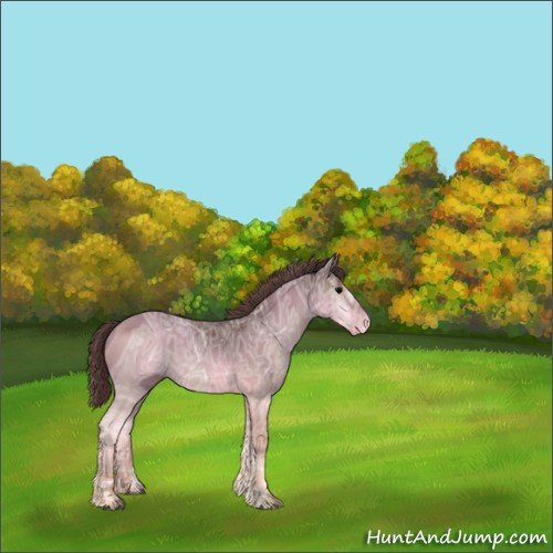 Horse Color:ERROR: UNKNOWN ANOMALY