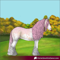 Horse Color:Watercolor White Spotted Brown Ice Splash 