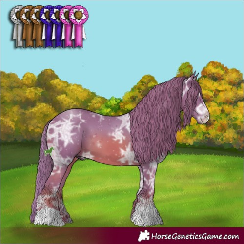 Horse Color:Watercolor Chestnut Ice 