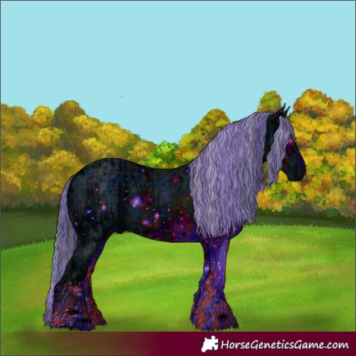 Horse Color:ERROR: UNKNOWN ANOMALY and ERROR: UNKNOWN ANOMALY