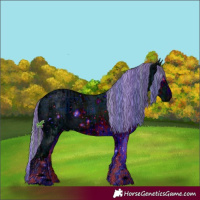 Horse Color:ERROR: UNKNOWN ANOMALY and ERROR: UNKNOWN ANOMALY
