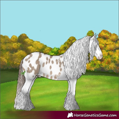Horse Color:White Spotted Brown Dun Appaloosa Rabicano 