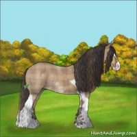 Horse Color:Plaid  Smoky Grullo Splash Tobiano Rabicano 