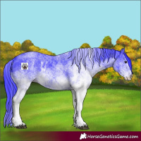 Horse Color:Watercolor White Spotted Black 