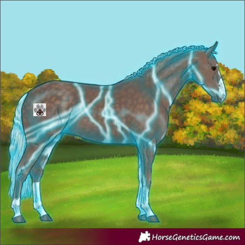 Horse Color:Thunderstruck Silver Black 