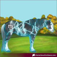 Horse Color:Thunderstruck White Spotted Black Splash 