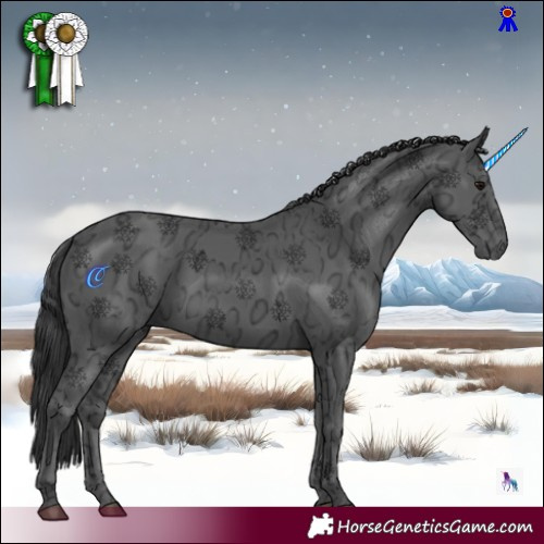 Horse Color:Black Ice 