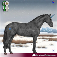 Horse Color:Black Ice 