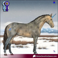 Horse Color:Buckskin Ice 