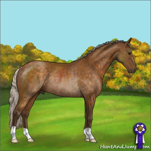 Horse Color:Silver Buckskin Rabicano
