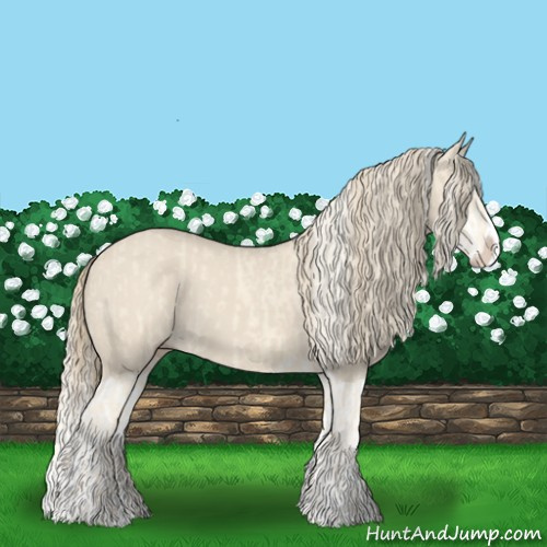Horse Color:Cremello Splash and Smoky Creme Splash
