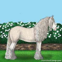 Horse Color:Cremello Splash  and Smoky Creme Splash 