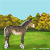 Horse Color:Silver Smoky Black 