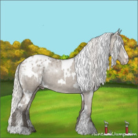 Horse Color:White Spotted Silver Smoky Grullo Sabino Varnish 