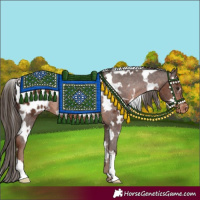 Horse Color:White Spotted Liver Chestnut Blanket Rabicano