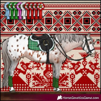 Horse Color:Brown Sabino Appaloosa