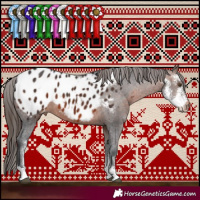 Horse Color:Brown Sabino Appaloosa