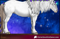 Horse Color:Brown Pearl Sabino Rabicano