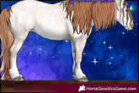 Horse Color:White Spotted Sable Champagne Pearl Dun Sabino Rabicano