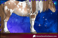 Horse Color:White Spotted Liver Chestnut Pearl 