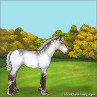 Horse Color:White Spotted Chocolate Silver Brown Chinchilla 