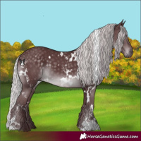 Horse Color:White Spotted Chocolate Silver Black Chinchilla 