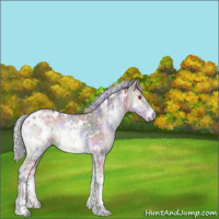 Horse Color:Nacre White Spotted Chocolate Silver Blue Onyx Chinchilla Ice 