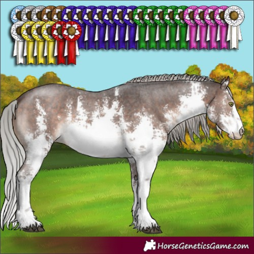 Horse Color:White Spotted Silver Brown Mushroom Sabino