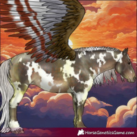 Horse Color:White Spotted Silver Brown