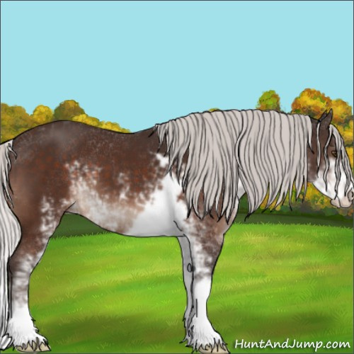 Horse Color:Silver Brown Mushroom Sabino