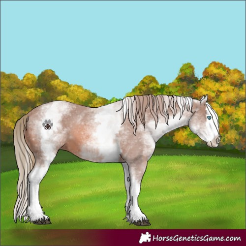 Horse Color:Watercolor White Spotted Chestnut Splash 
