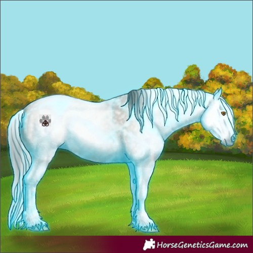Horse Color:Gray Thunderstruck Classic Cream Champagne Roan Splash 