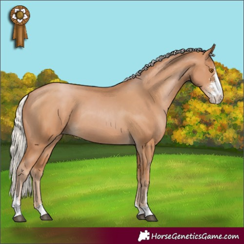 Horse Color:Silver Black Pearl Sabino 
